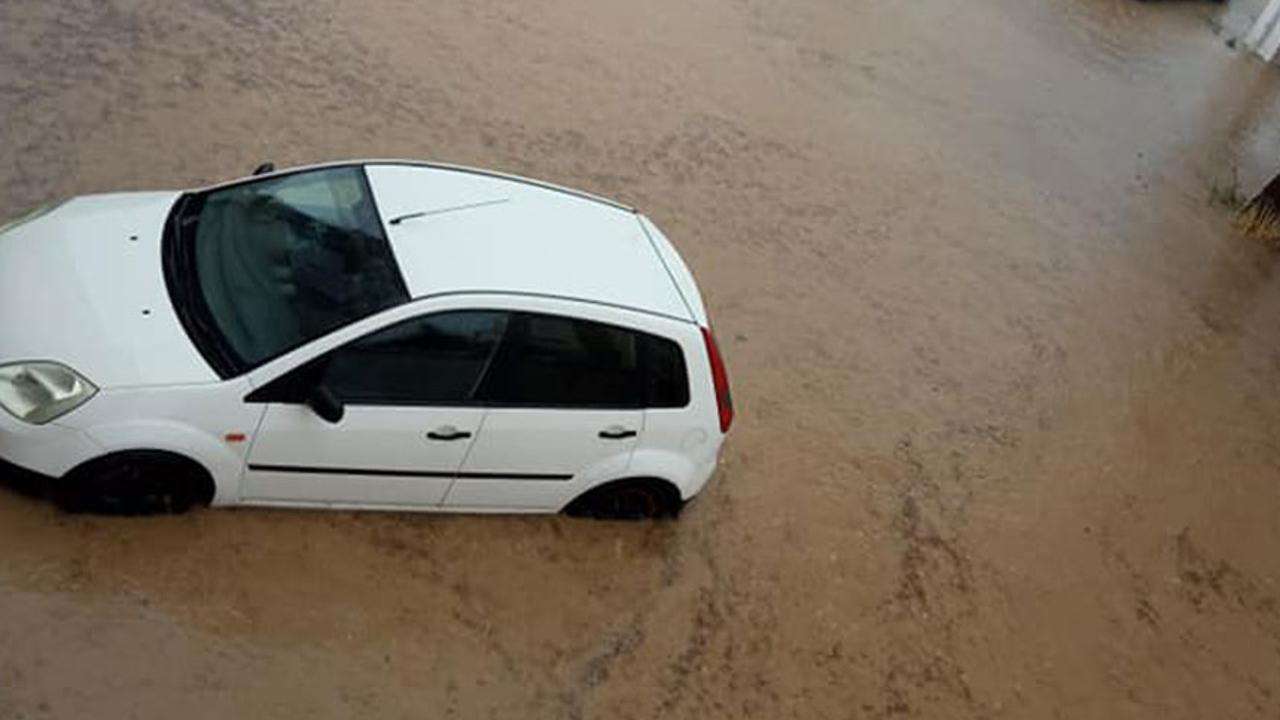 Ağaç yola devrildi, trafik ışıkları arızalandı Ağaç yola devrildi, trafik ışıkları arızalandı