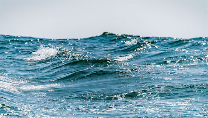Deniz