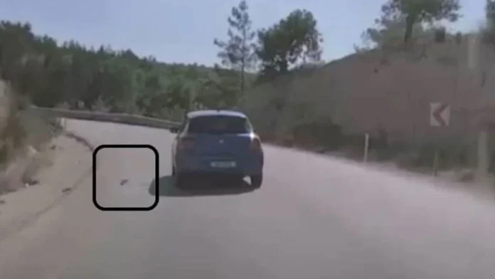 Çevreyi kirleten sürücüye ceza kesildi