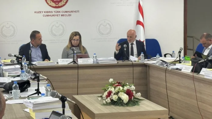 Komitede Türk Ajansı Kıbrıs ve Sivil Savunma Teşkilat Başkanlığı bütçeleri kabul edildi