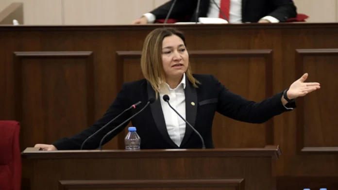 UBP Milletvekili Yasemi Öztürk