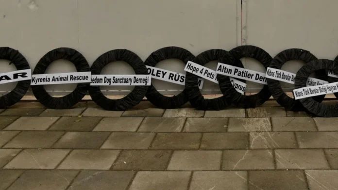 "Hayvan hakları yasasının peşini bırakmayacağız"