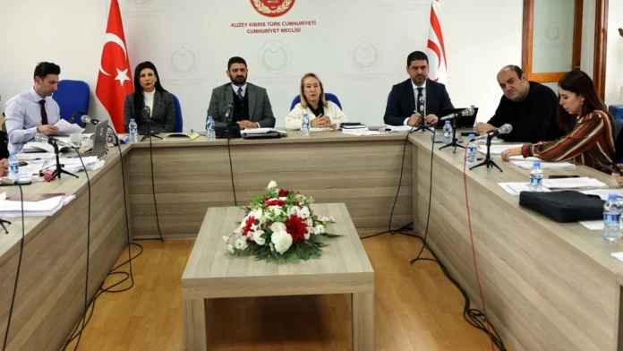 Başbakanlık ve Merkez Kuruluşu (Kuruluş, Görev ve Çalışma Esasları) (Değişiklik) Yasa Önerisi Genel Kurul'a sevk edildi Başbakanlık ve Merkez Kuruluşu (Kuruluş, Görev ve Çalışma Esasları) (Değişiklik) Yasa Önerisi Genel Kurul'a sevk edildi