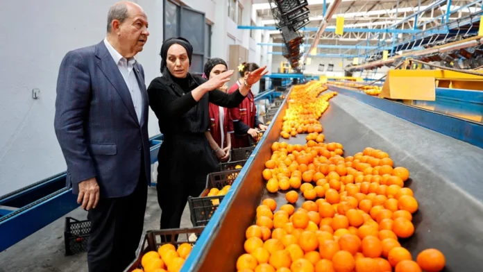 Cumhurbaşkanı Tatar’dan narenciye paketleme tesislerine ziyaret Cumhurbaşkanı Tatar’dan narenciye paketleme tesislerine ziyaret