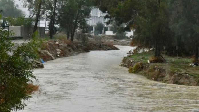 seldere Derelerin seviyelerinde ciddi düşüş var