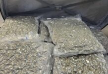 Larnaka Havalimanı Güney Kıbrıs’ın En Büyük Uyuşturucu Giriş Kapısı