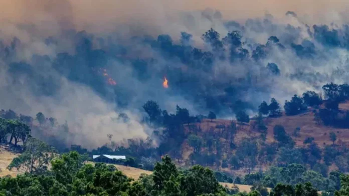 Avustralya yanıyor "Haftalar sürebilir"
