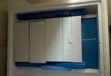 Güney Kıbrıs’a 50 bin doz şap aşısı daha… Toplamda 60 bin doz teslim edildi