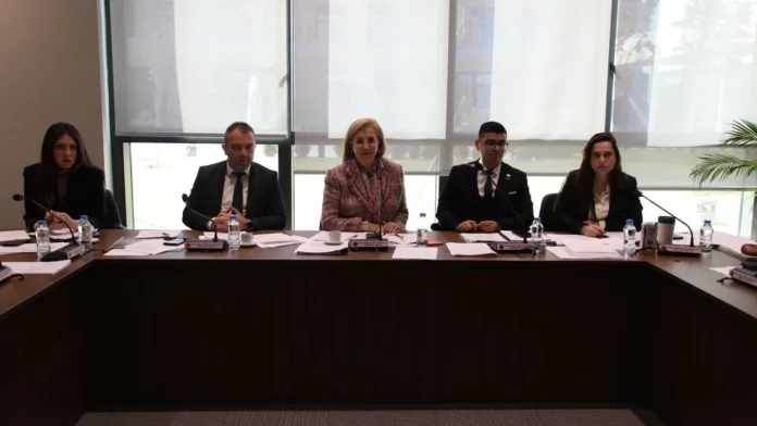 Ekonomi, Maliye, Bütçe ve Plan Komitesi motorlu araçlar ve pasaportlarla ilgili yasa değişikliklerini onayladı