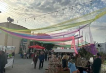 13. Geleneksel Hisarköy Orkide Festivali hafta sonu yapılıyor