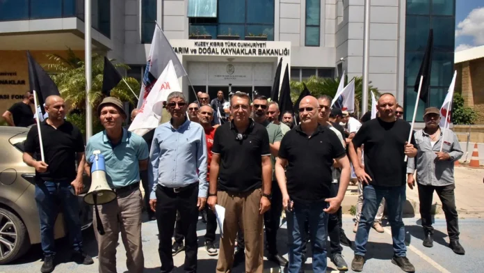 KTEZO ile Kasaplar Birliği'nden eylem..."Yerli et sübvanse edilsin"
