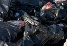 Haspolat’ta 2 bin kilograma yakın kaçak et ele geçirildi…Bir kişi tutuklandı