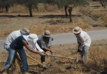 Avusturya’dan Kayıp Şahıslar Komitesi’ne 20 bin Euro bağış