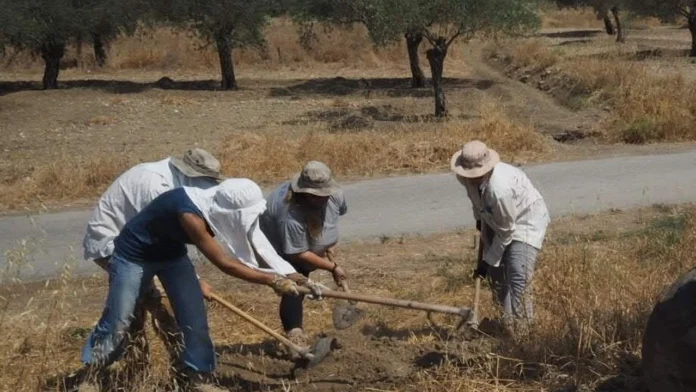 Avusturya’dan Kayıp Şahıslar Komitesi’ne 20 bin Euro bağış