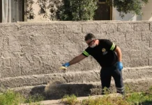 LTB, 7 ekiple sivrisinekle etkin ve biyolojik mücadeleyi sürdürüyor