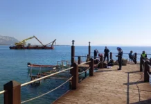 DAÜ öğretim üyesinden deniz çayırlarının korunmasına bilimsel katkı