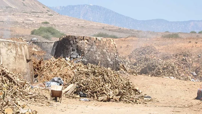 gamini-1 Yayla'da izinsiz kömür ocağına suçüstü!